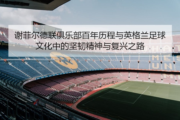 谢菲尔德联俱乐部百年历程与英格兰足球文化中的坚韧精神与复兴之路