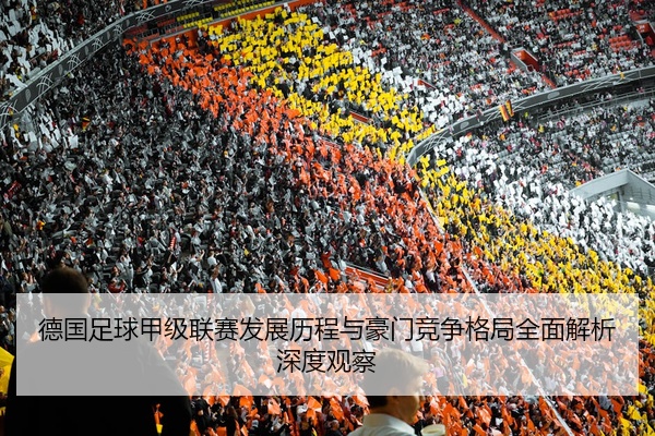 德国足球甲级联赛发展历程与豪门竞争格局全面解析深度观察